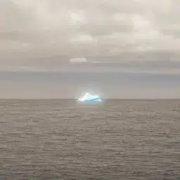 Iceberg