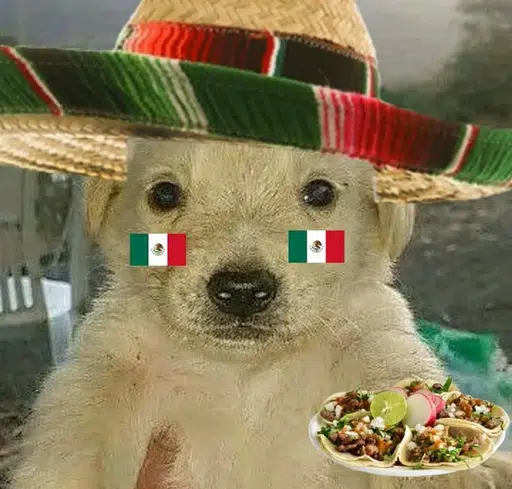 JOTCHUA
