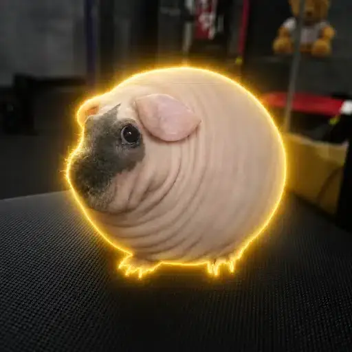 GUINEAPIG