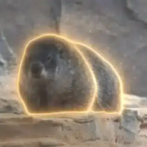 ユバ