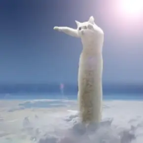 LONGCAT