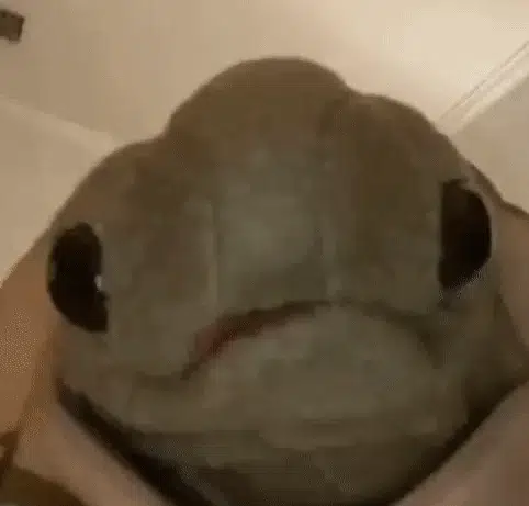 CARL