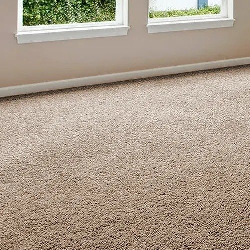 CARPET logo
