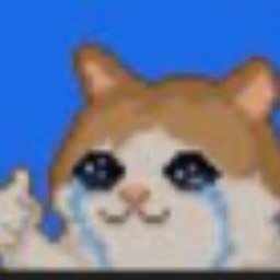 Sadcat