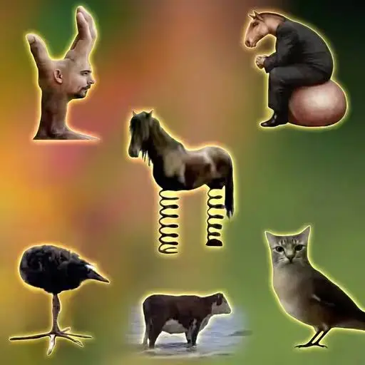 Grainrot