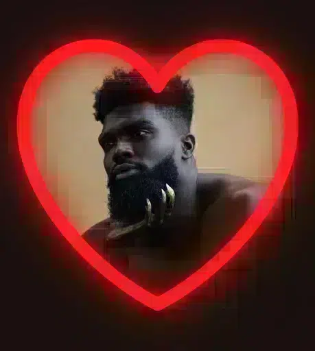Niggers