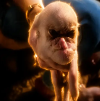 Pigmonkey