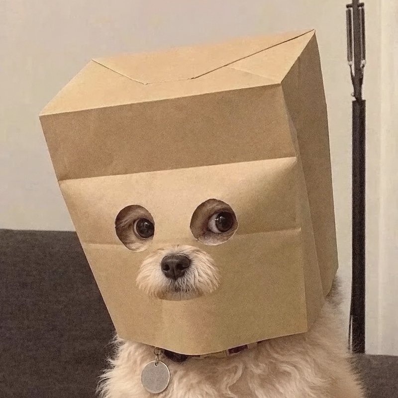 zDOG