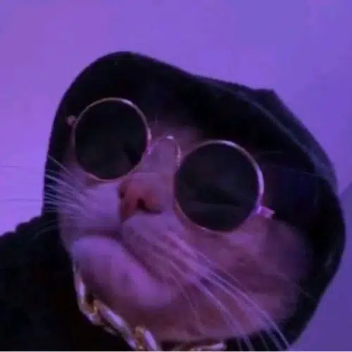 Vibes