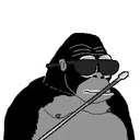 BLINDAPE