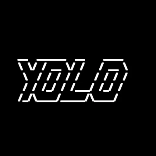 YOLO