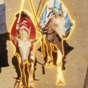 GOATS