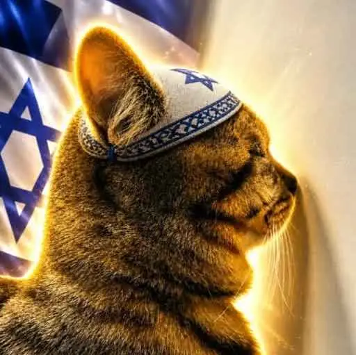 jewcat