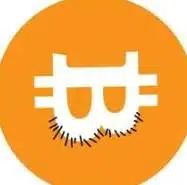 ballscoin
