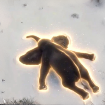 Starphant
