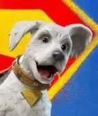 krypto