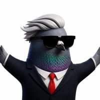 PIGEON — PIGEON Solana token traded by KOLs