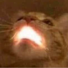 glowcat