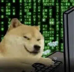 HackINU