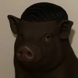 PIGGER