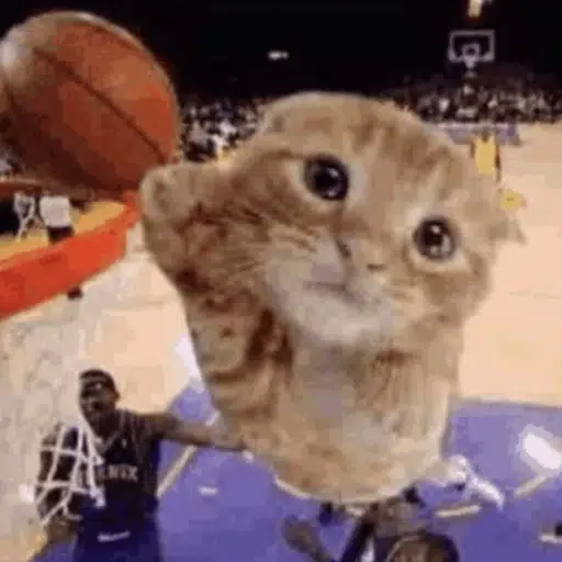 ballincat