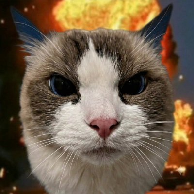 BOOMCAT