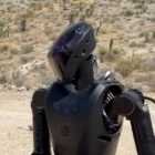Phantom