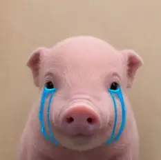SOB