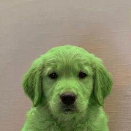 pfp