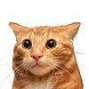 IRLCAT