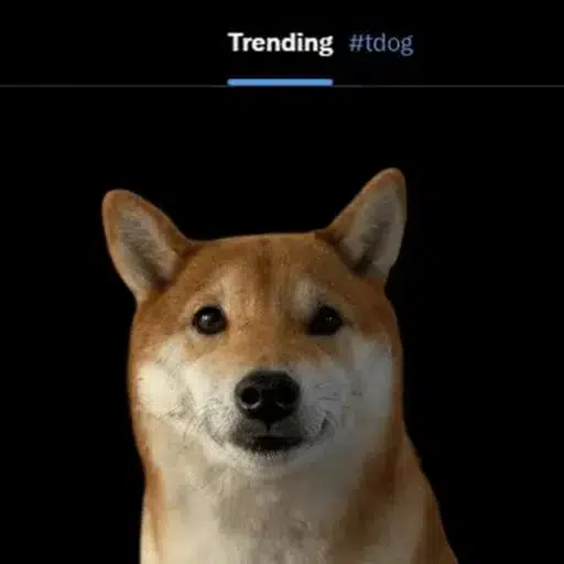 TDOG