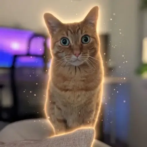 stare