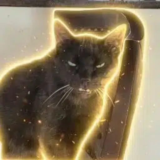 ©linton — recently traded by Iceman on Solana