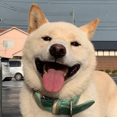 Haku-chan
