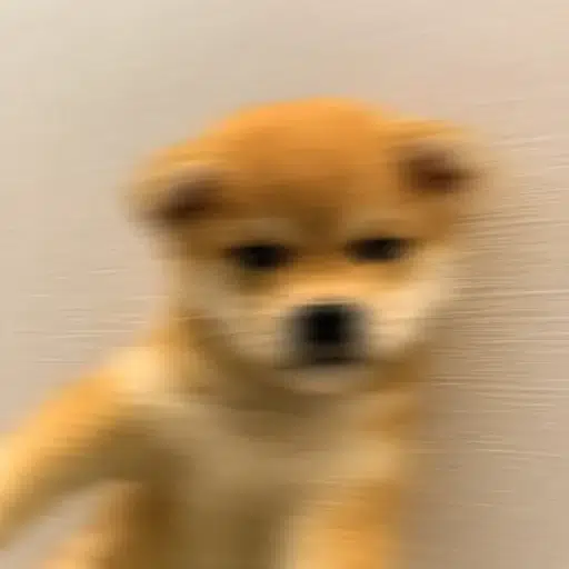 motion