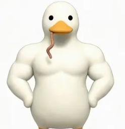 DUCK