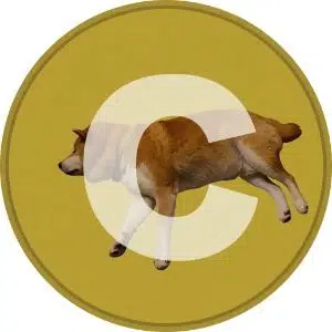 CHACHAMARU logo