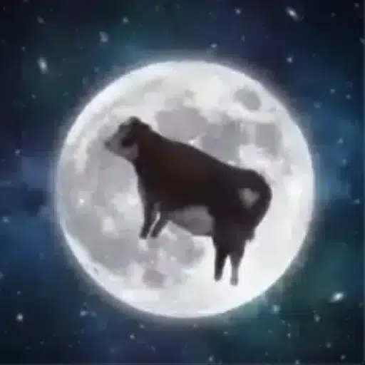 Mooner