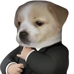 MEMECOINS