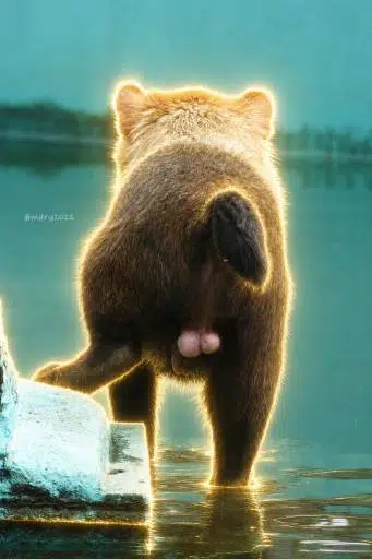 のり丸