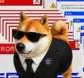 memedoge