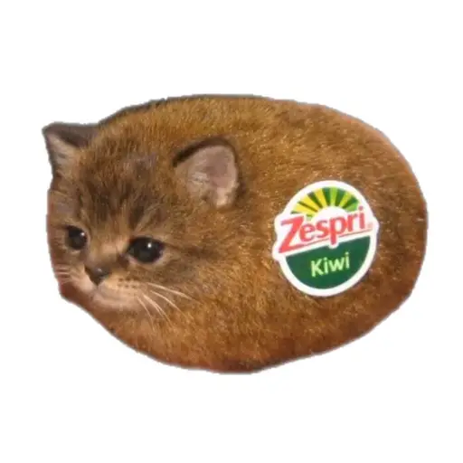 Miwi