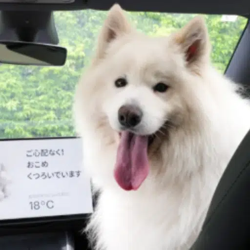 오코메