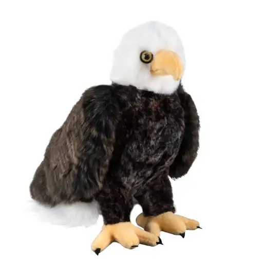 BALD