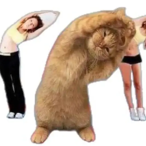 stretch