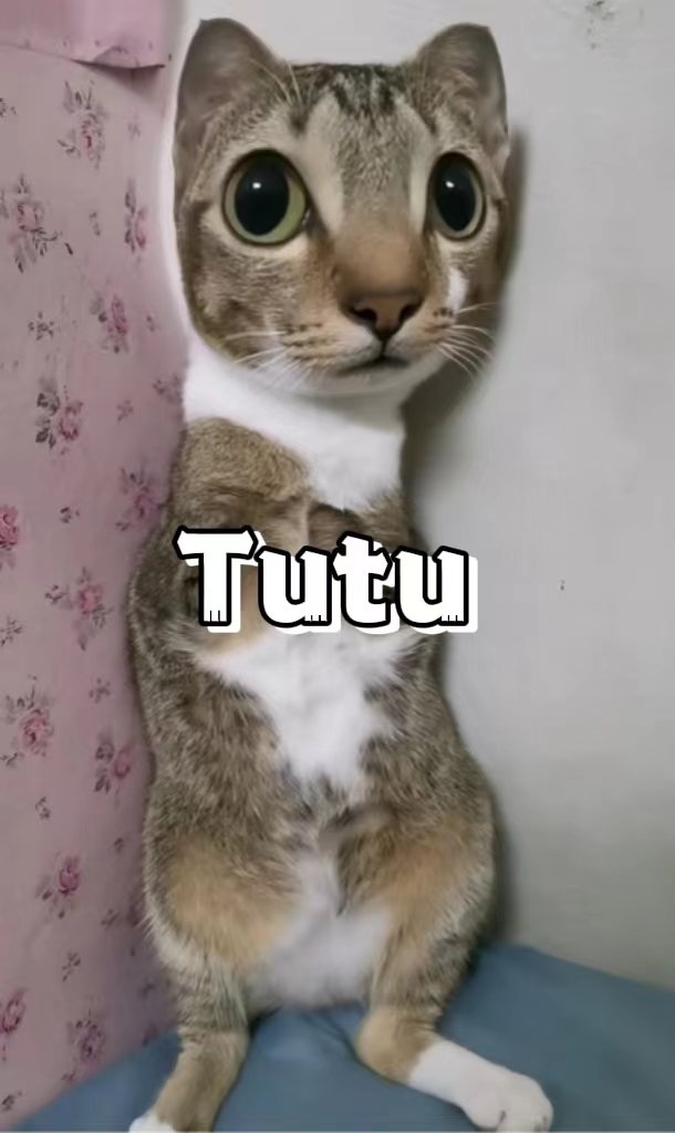 Tutu