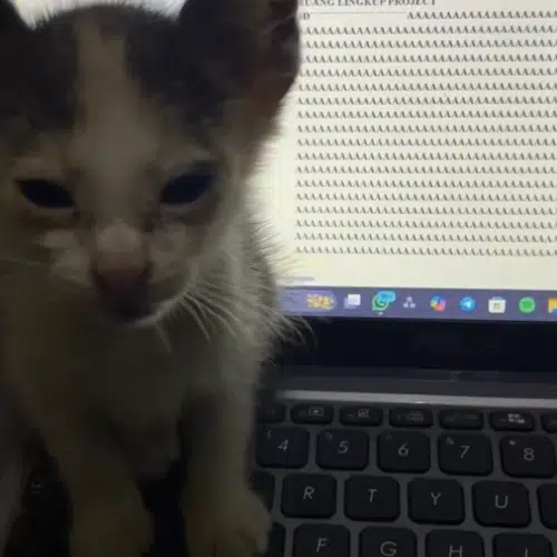 AAAAAAAAAA