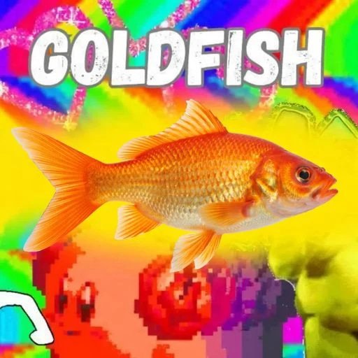 goldfish