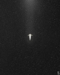 ASCEND
