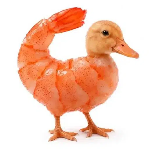 🦐🦆